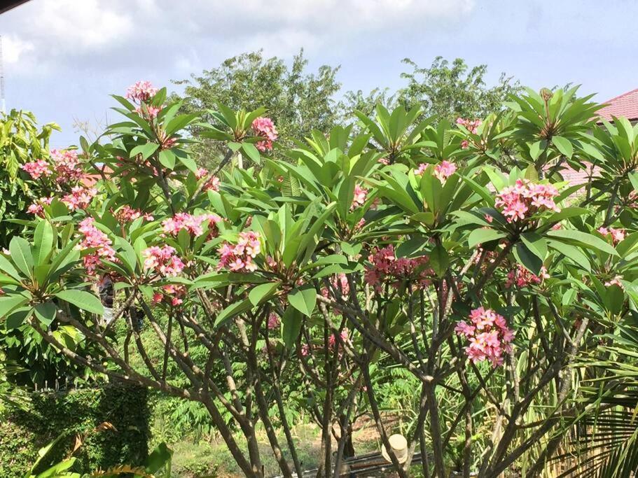 Banda Aceh Batoh Homestay - Private - Fits Up To 8 Persons Zewnętrze zdjęcie